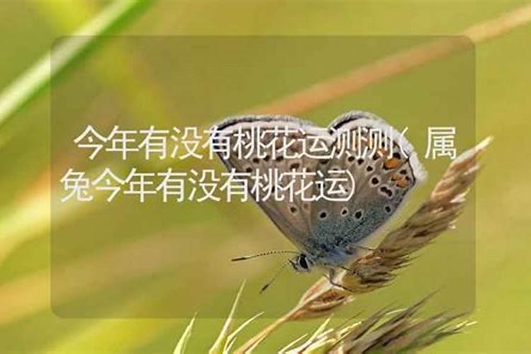 怎么看命里带不带桃花 八字怎么看正桃花和烂桃花？