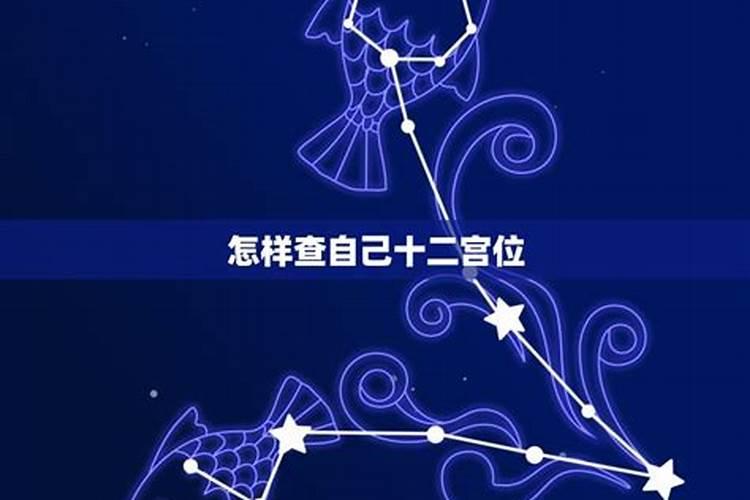怎么知道自己的星座在第几宫