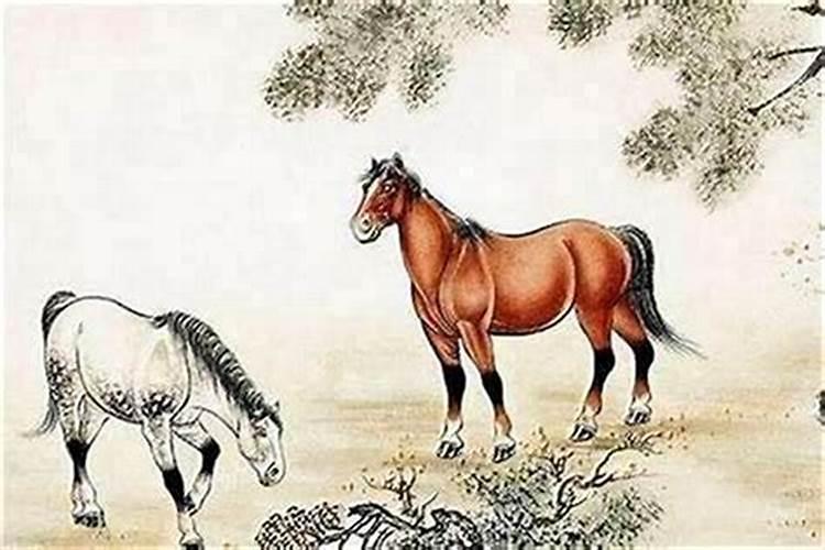 属马的90年3月11出生:命运如何？