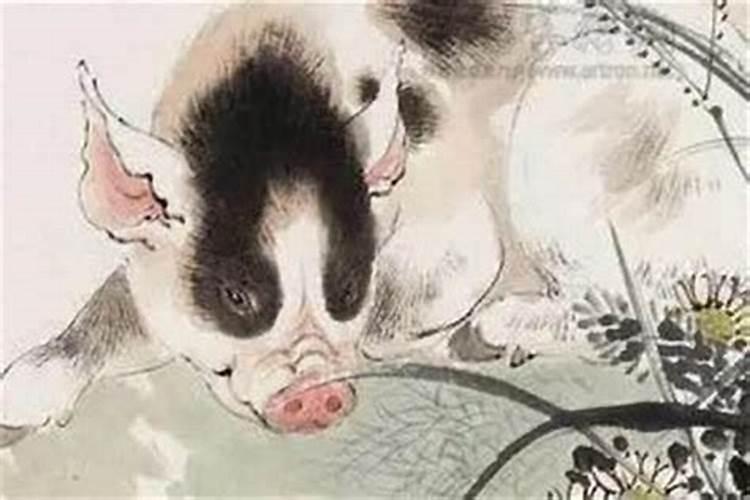 1995年几月猪命苦农历一月,1995年属猪人最苦命出生时辰