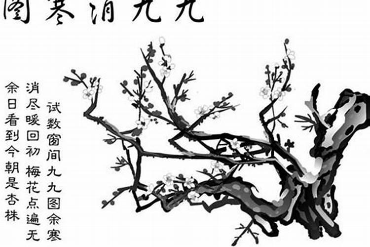 数九寒天是从哪个节气开始结束