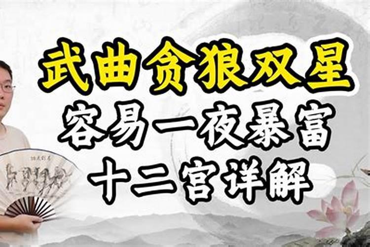 夫妻宫有武曲贪狼的紫薇命盘好不好？