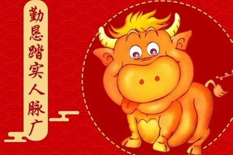 属牛人的晚年宿命,熬过四十必有福,尤其是73年的牛？