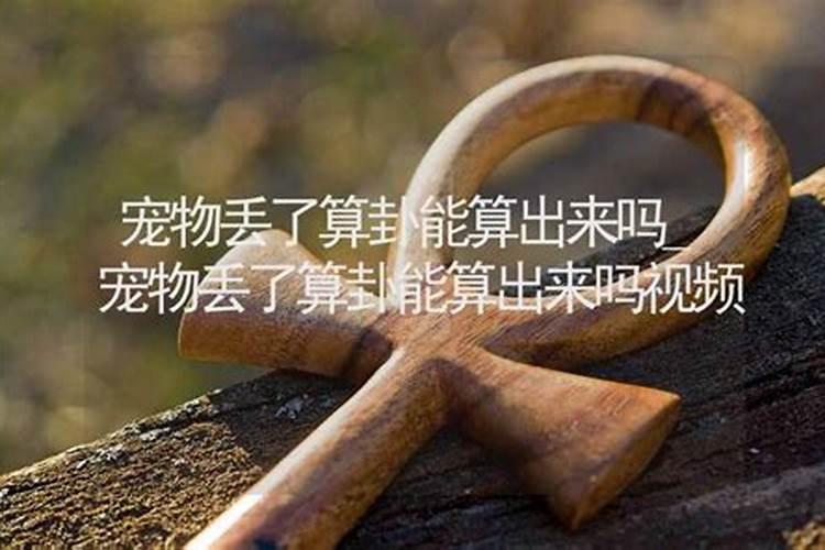 我属狗的,农历九月三号生女1994年算命