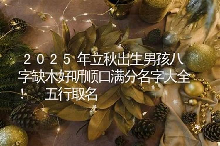 立秋节气出生的小孩小名大全属龙使用名攻略