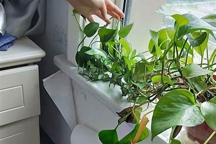 梦见屋顶漏水用盆接的预兆