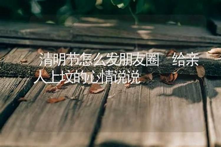 朋友圈上坟的心情说说 清明节上坟的说说