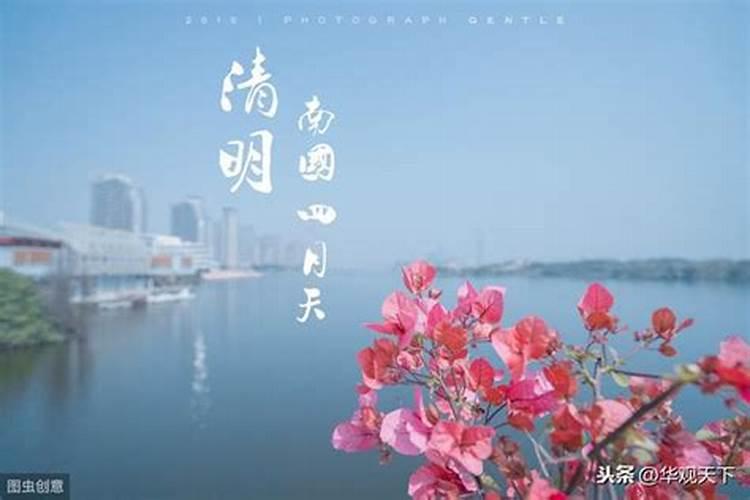梦见猫变老鼠的预兆