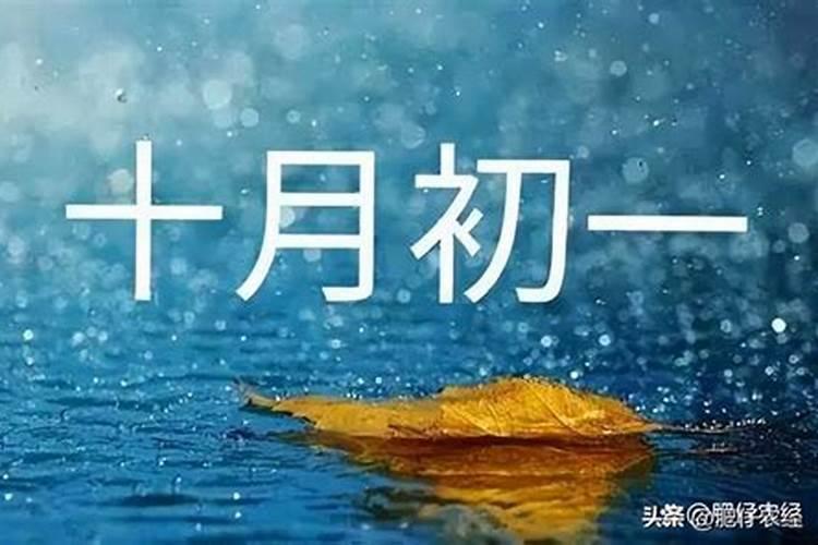 写一篇父母对你的爱(100字)