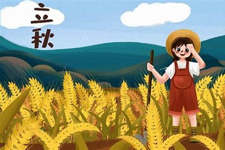 立秋以后是什么节气
