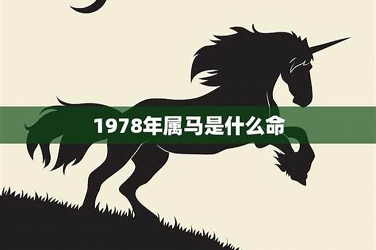 戊辰年男龙(射手座)跟甲戌年女狗(狮子)座会相克吗？