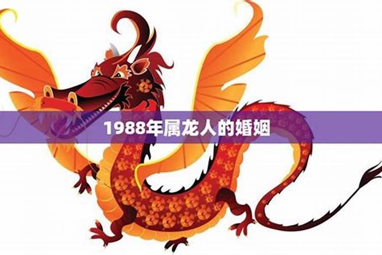 七一年六月属猪的命运