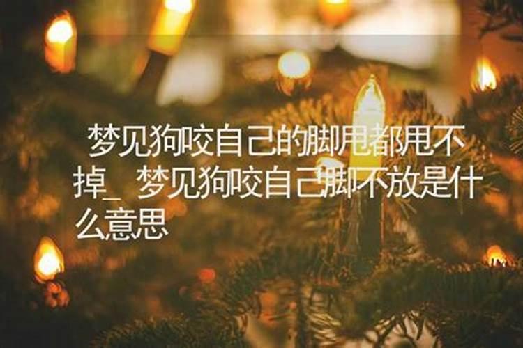女人梦见狗咬脚不放是什么意思