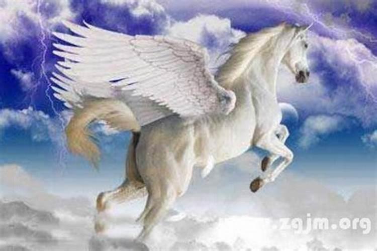 梦见天上掉马的预兆