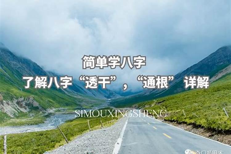 四柱八字中对人影响最大的是哪一柱