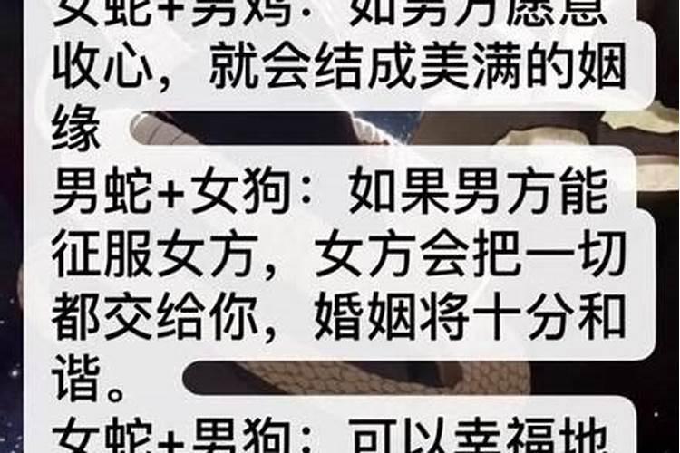 属鼠和属蛇合吗,属蛇和属鼠的合不合婚