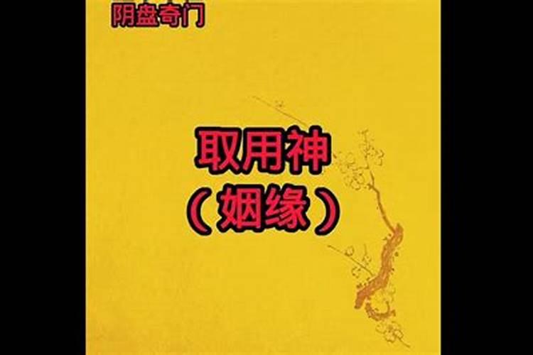 正月初二是什么日子