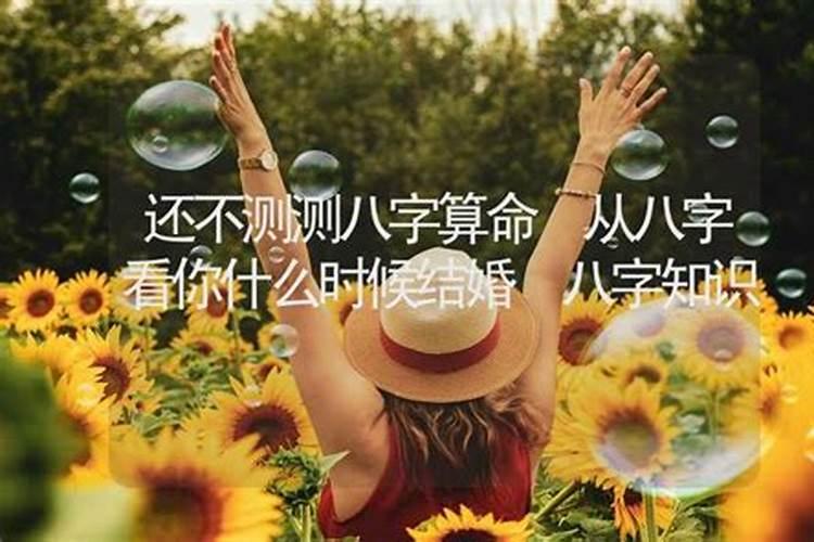 猪不合的三个属相 男女