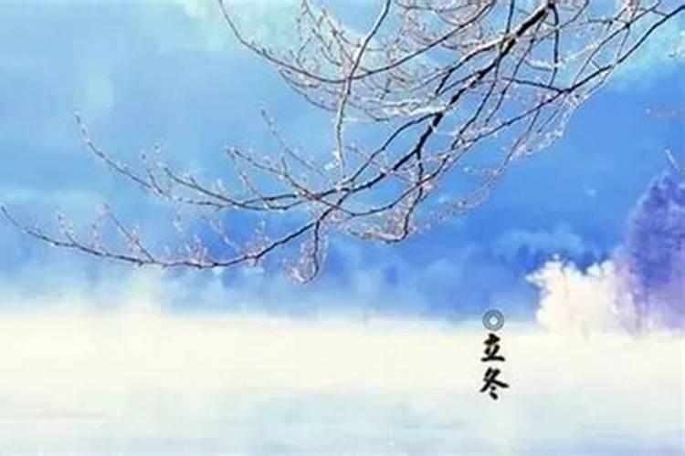 一九八一年立冬是那天