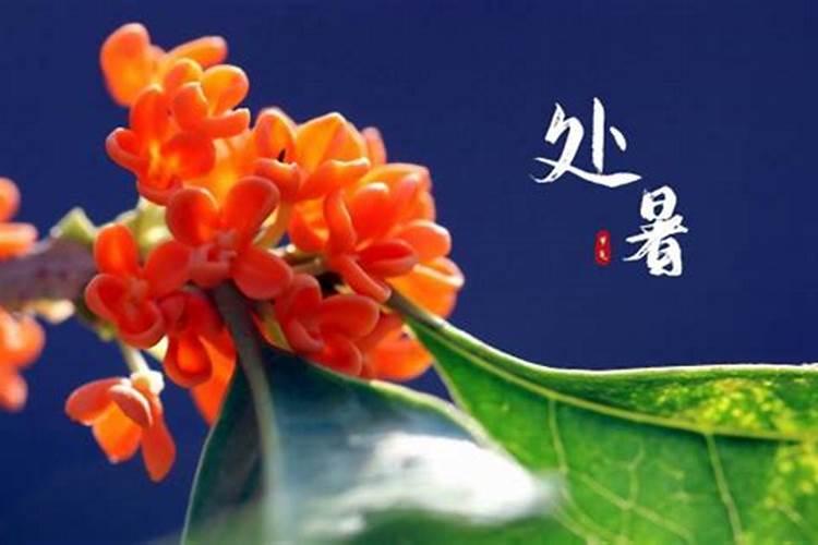 八月十五晚上摆月饼摆多久