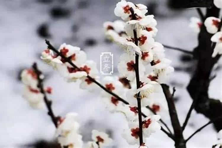 哪个节气代表进入冬天什么节气代表进入冬天