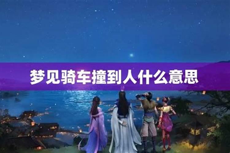 1982年9月生属狗人羊年运势如何