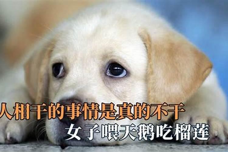 梦到和自己毫不相干的人有什么说法.