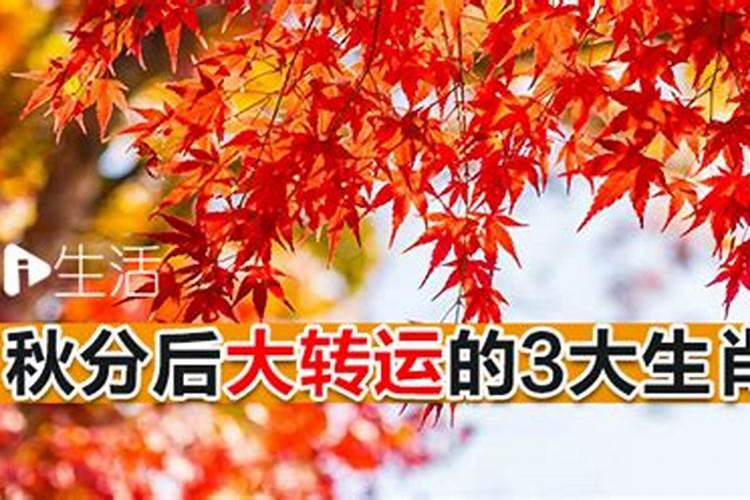 梦见在抓乌龟,还抓了好多,还被被乌龟咬了一口,那梦是什么意思？