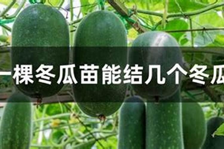 春分、夏至、秋分各是什么时候？