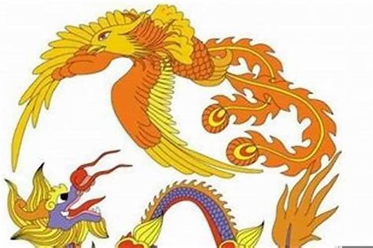 99属兔和00属龙不合吗