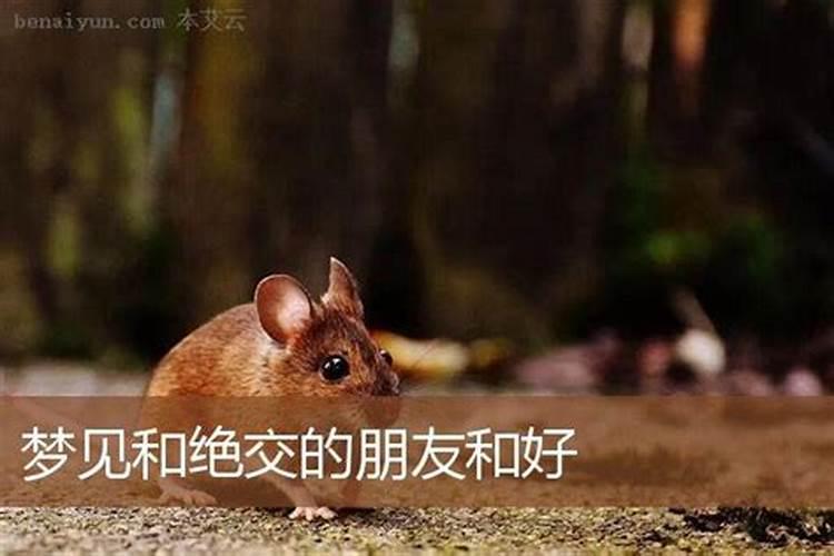 梦见和已经绝交的人说话的预兆