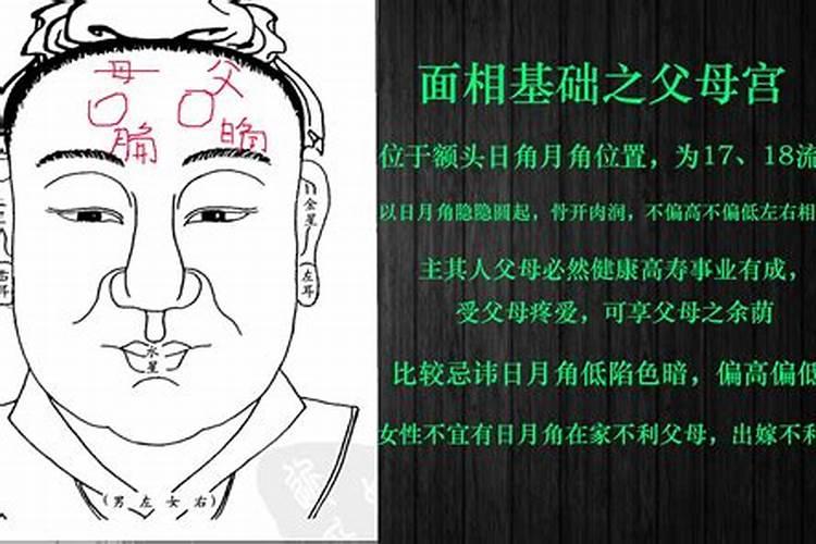 甲寅什么意思