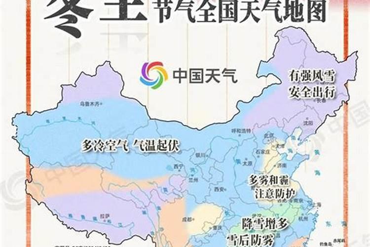 梦见送鸡翅吃
