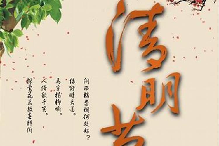清明节个人心得收获精选5篇