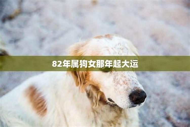 农历正月初二出生的人命运如何