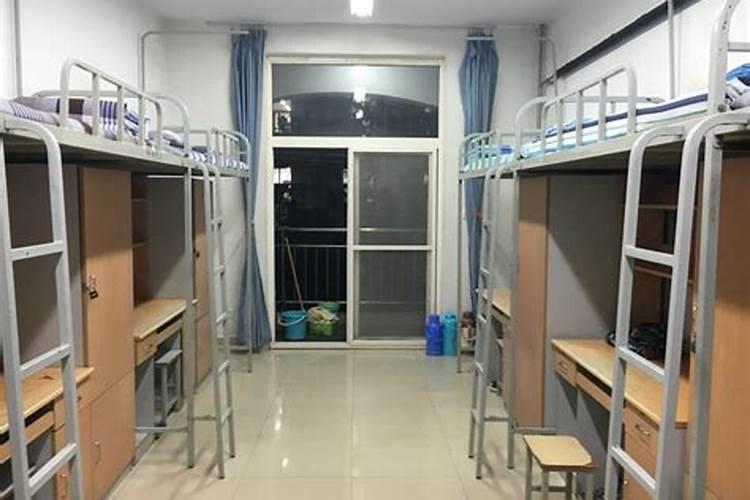 上班族梦到自己回了学校宿舍