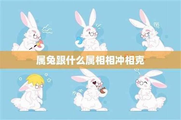 属兔的和什么属相最配？