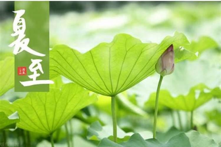 过了夏至白天一天会短多少