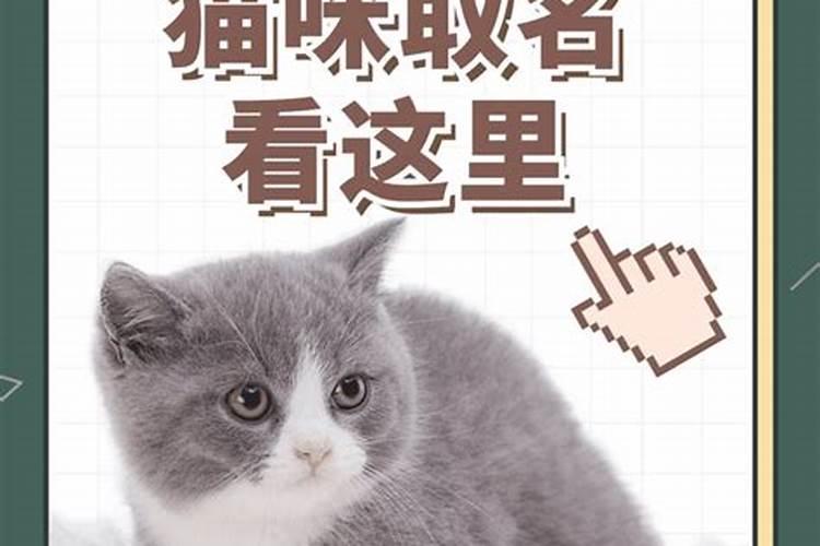 宝宝小名带小字三个字