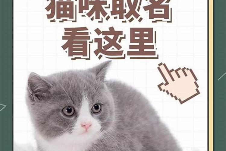 请科普一下nct成员的昵称或别名？并简单陈述一下出处来源？