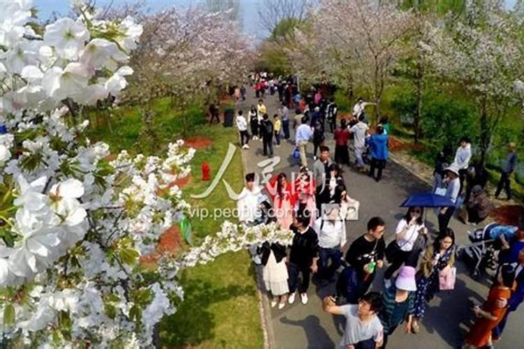 上海人习惯清明时节在门口烧纸怎么做法？
