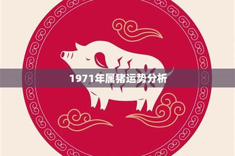 算命1971年属猪的运气 贵人是谁？