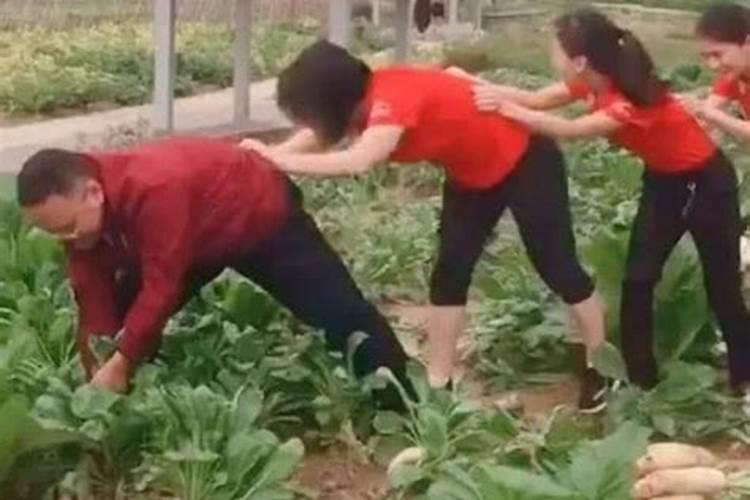 女人梦见拔白萝卜是什么意思