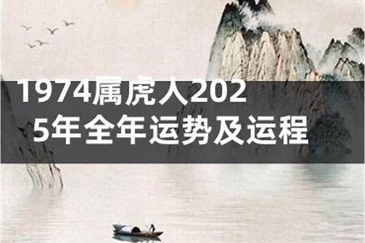 属兔和什么属相最配