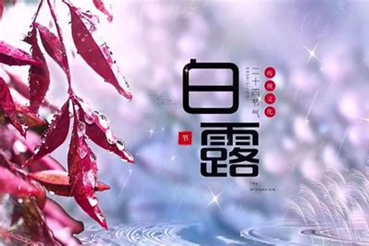 合婚属相重要还是八字重要？