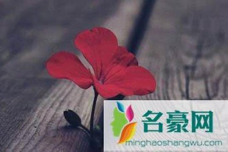 韩国的中秋是怎样的 韩国人怎么过中秋节