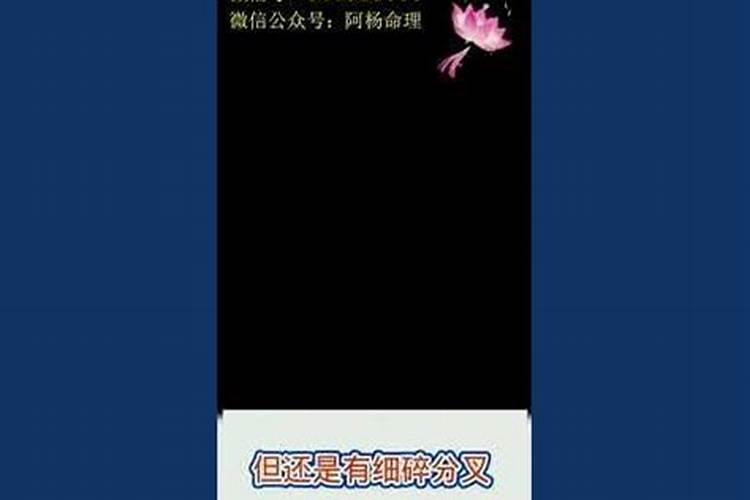 2024除夕是什么时候 2024新年除夕几号