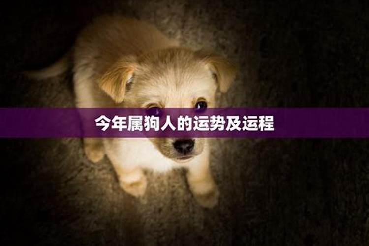 梦见不认识的人死了 梦见不认识的人死了是什么征兆