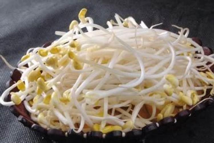 梦见豆芽是什么意思 有什么征兆吗