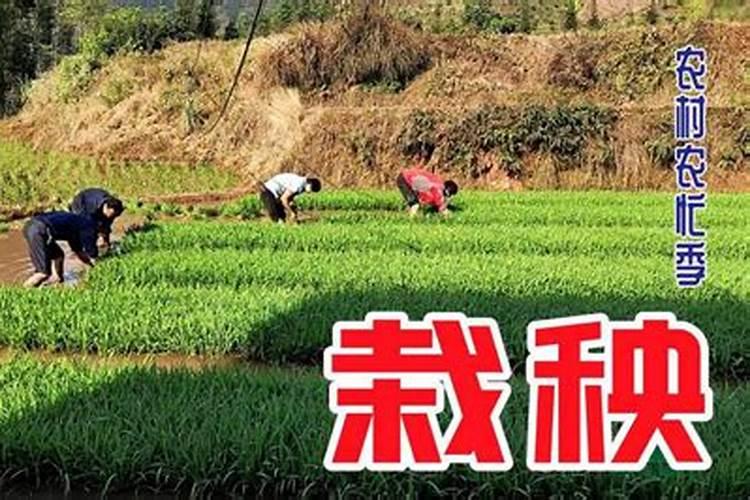 南方冬至祭祖有什么讲究